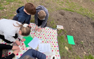 Merlins explore sowing seeds!