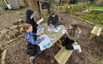 Merlins explore animals!