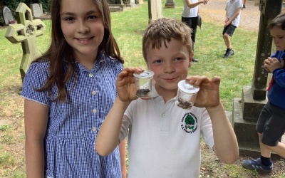 Biodiversity Day at St Mary's Church